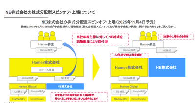 Q. Hameeからスピンオフ上場したNEの今後の課題は？ 画像