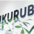 【決算1分解説】カウカモの事業拡大によりYoY+15％成長したツクルバ、一方で減収した最新決算を発表