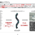 創薬ベンチャーの3Dマトリックスが初の営業黒字化！今後も利益成長は続くのか？